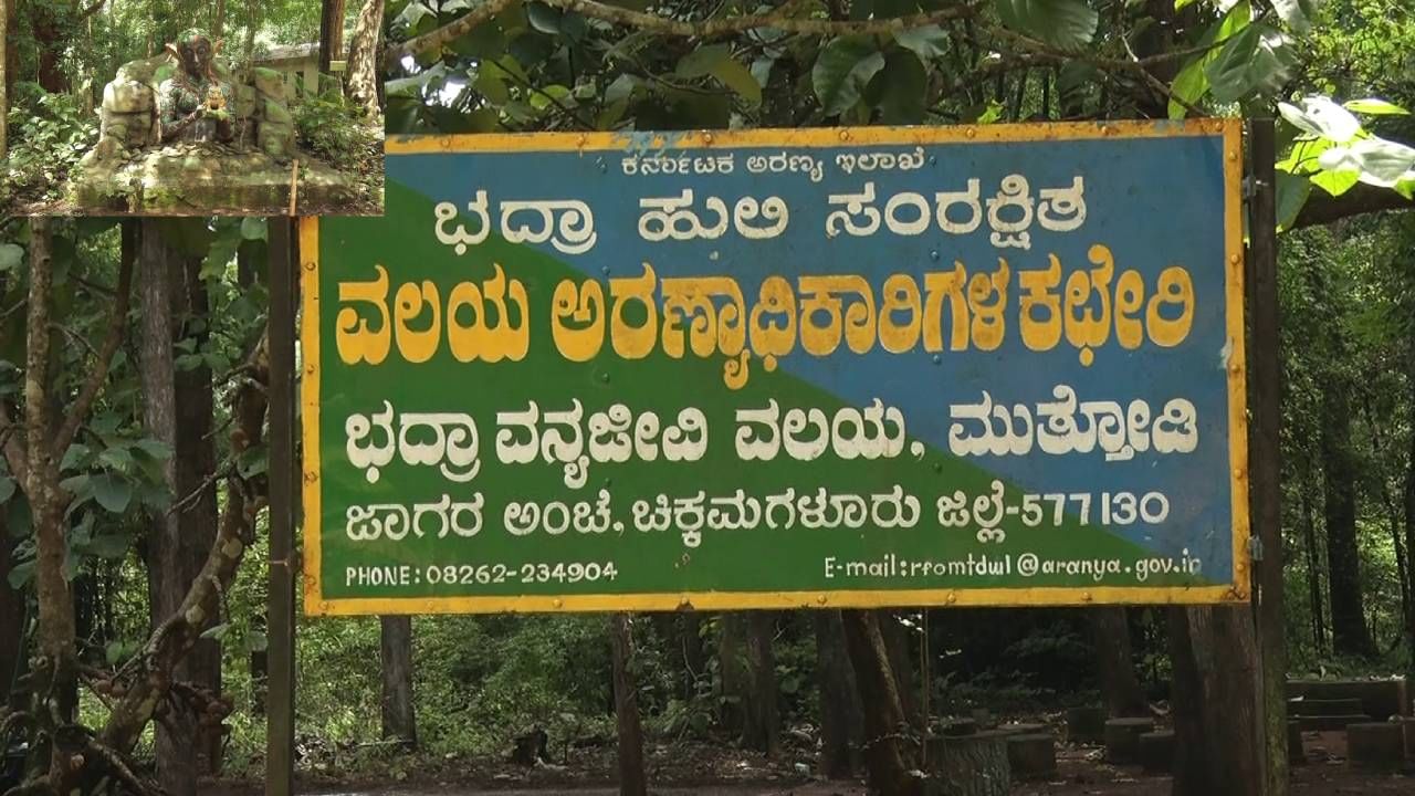 ಚಿಕ್ಕಮಗಳೂರು: ಭದ್ರಾ ಹುಲಿ ಸಂರಕ್ಷಿತ ಪ್ರದೇಶದಲ್ಲಿ ಪ್ರಾಣಿಗಳ ಸಂಖ್ಯೆ ಏರಿಕೆ