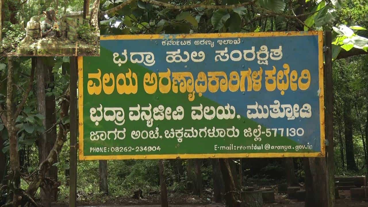 ಚಿಕ್ಕಮಗಳೂರು: ಭದ್ರಾ ಹುಲಿ ಸಂರಕ್ಷಿತ ಪ್ರದೇಶದಲ್ಲಿ ಪ್ರಾಣಿಗಳ ಸಂಖ್ಯೆ ಏರಿಕೆ ಚಿಕ್ಕಮಗಳೂರು: ಭದ್ರಾ ಹುಲಿ ಸಂರಕ್ಷಿತ ಪ್ರದೇಶದಲ್ಲಿ ಪ್ರಾಣಿಗಳ ಸಂಖ್ಯೆ ಏರಿಕೆ
