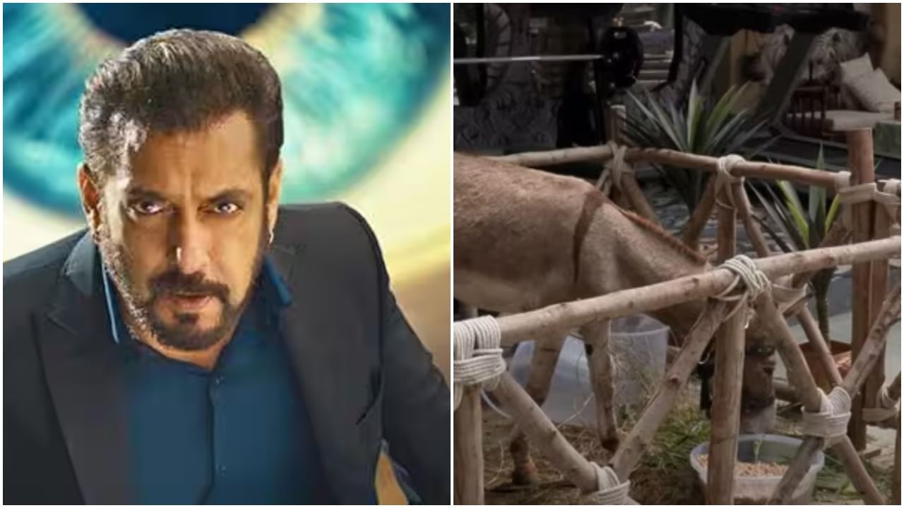 ‘ಬಿಗ್ ಬಾಸ್ನಲ್ಲಿರೋ ಆ ಕತ್ತೆಯ ಹೊರತನ್ನಿ’; ಕೇಳಿಬಂತು ಆಗ್ರಹ ‘ಬಿಗ್ ಬಾಸ್ನಲ್ಲಿರೋ ಆ ಕತ್ತೆಯ ಹೊರತನ್ನಿ’; ಕೇಳಿಬಂತು ಆಗ್ರಹ