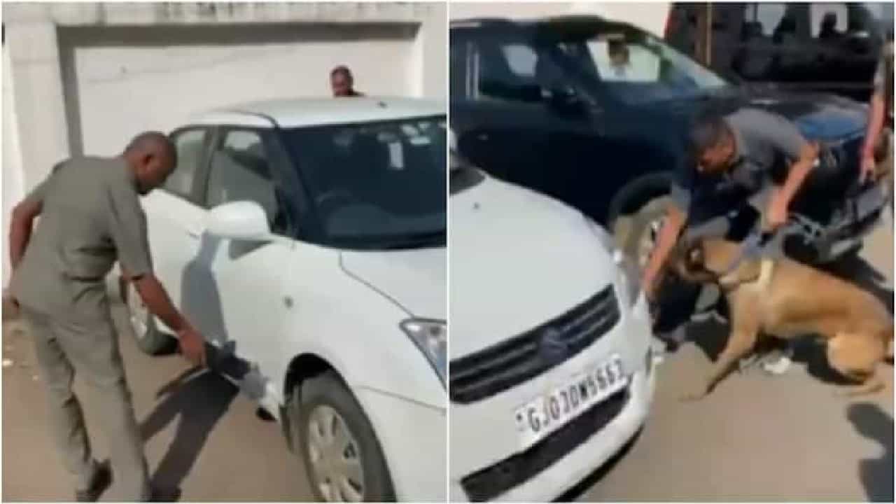 ಗುಜರಾತ್ನ ರಾಜ್ಕೋಟ್ನಲ್ಲಿ 10 ಹೋಟೆಲ್ಗಳಿಗೆ ಬಾಂಬ್ ಬೆದರಿಕೆ ಗುಜರಾತ್ನ ರಾಜ್ಕೋಟ್ನಲ್ಲಿ 10 ಹೋಟೆಲ್ಗಳಿಗೆ ಬಾಂಬ್ ಬೆದರಿಕೆ