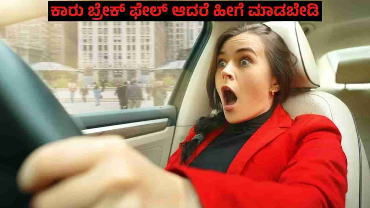 Auto Tips: ಕಾರು ಓಡಿಸುವಾಗ ಇದ್ದಕ್ಕಿದ್ದಂತೆ ಬ್ರೇಕ್ ಫೇಲ್ ಆದರೆ ತಪ್ಪಿಯೂ ಹೀಗೆ ಮಾಡಬೇಡಿ