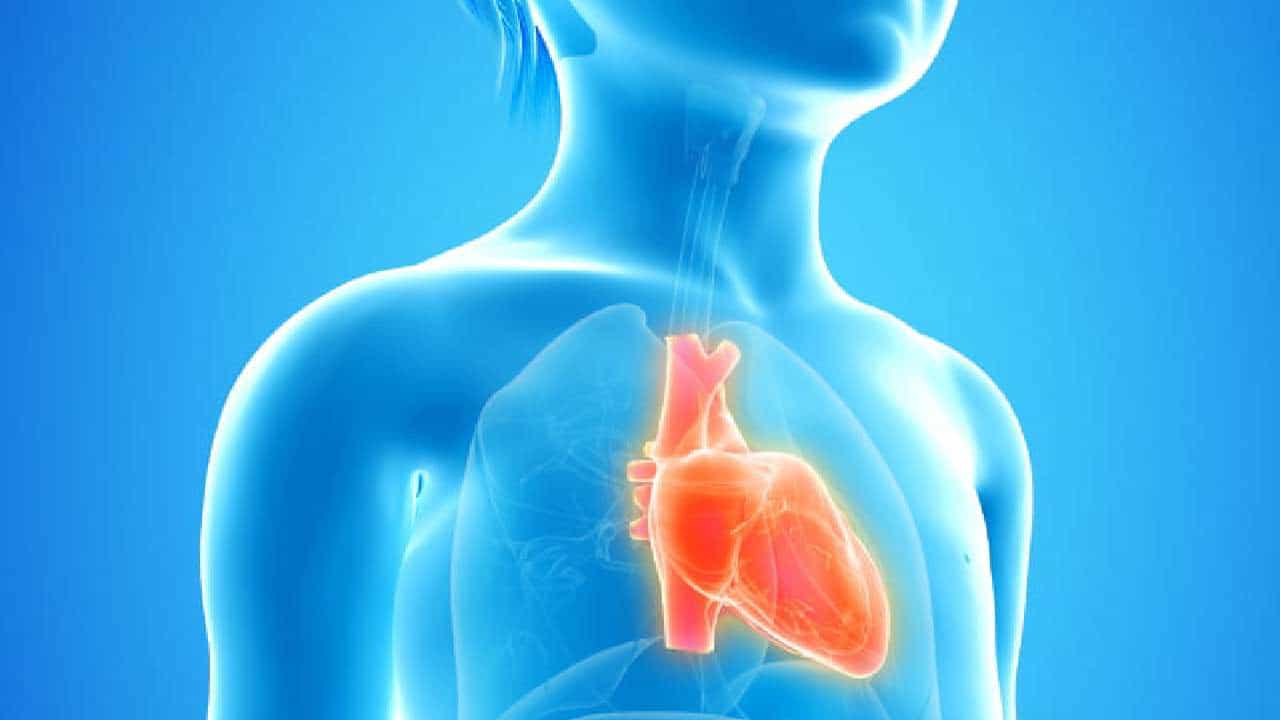 Heart attack: ಮಕ್ಕಳಲ್ಲಿ ಹೃದಯಾಘಾತ ಏಕೆ ಸಂಭವಿಸುತ್ತದೆ? ತಜ್ಞರು ಹೇಳುವುದೇನು? Heart attack: ಮಕ್ಕಳಲ್ಲಿ ಹೃದಯಾಘಾತ ಏಕೆ ಸಂಭವಿಸುತ್ತದೆ? ತಜ್ಞರು ಹೇಳುವುದೇನು?