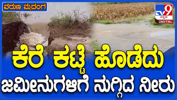 ಧಾರಾಕಾರ ಮಳೆಗೆ ದಾವಣಗೆರೆ ಜಿಲ್ಲೆಯ ಕೆರೆಗಳು ಭರ್ತಿ, ಏರಿ ಒಡೆದು ಜಮೀನುಗಳಿಗೆ ನುಗ್ಗಿದ ನೀರು ಧಾರಾಕಾರ ಮಳೆಗೆ ದಾವಣಗೆರೆ ಜಿಲ್ಲೆಯ ಕೆರೆಗಳು ಭರ್ತಿ, ಏರಿ ಒಡೆದು ಜಮೀನುಗಳಿಗೆ ನುಗ್ಗಿದ ನೀರು