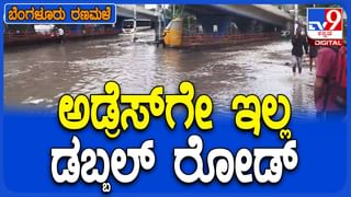 ಎರಡು ಬಸ್​ಗಳ ನಡುವೆ ಡಿಕ್ಕಿ, ಪ್ರಯಾಣಿಕರು ಪವಾಡಸದೃಶ ರೀತಿಯಲ್ಲಿ ಪಾರು, ಭಯಾನಕ ವಿಡಿಯೋ