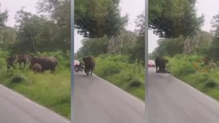 ಮುಂದುವರಿದ ಇಡಿ ದಾಳಿ: ಮೈಸೂರು ಮುಡಾ ಕಚೇರಿಯಲ್ಲಿ ಸಾರ್ವಜನಿಕರ ಕೆಲಸಗಳಿಗೆ ಬ್ರೇಕ್