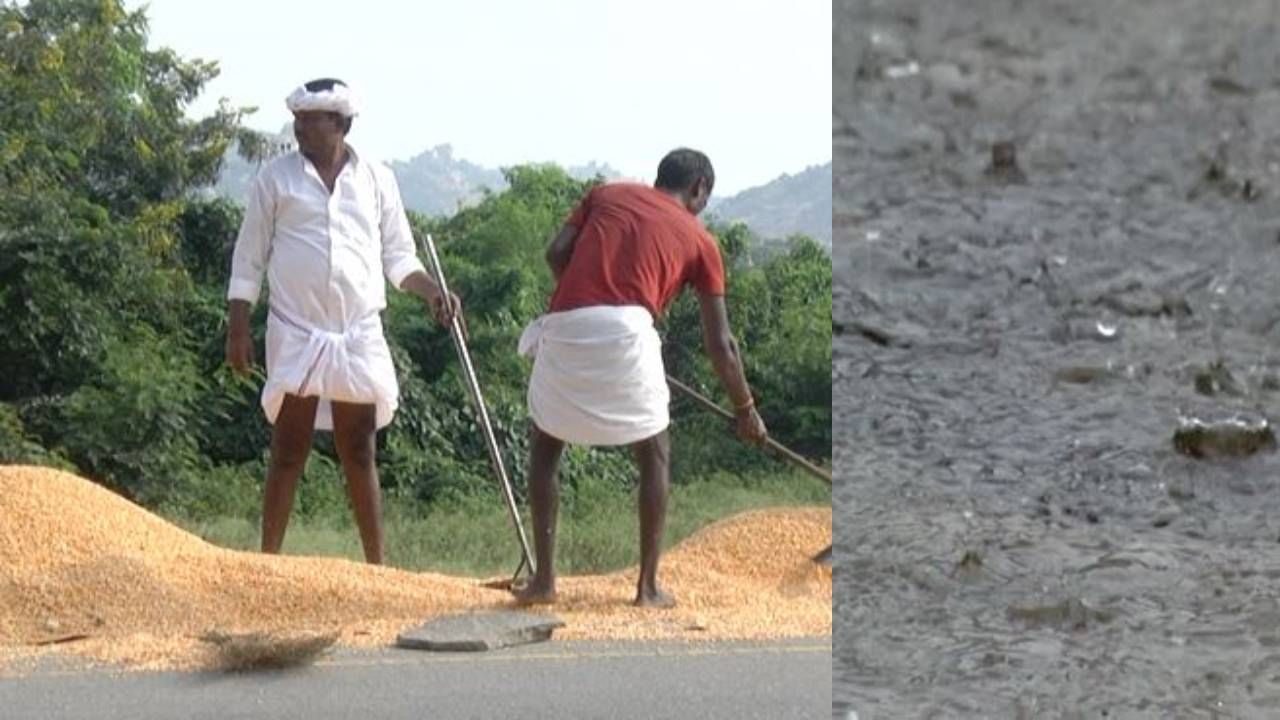 ಕೊಪ್ಪಳದಲ್ಲಿ ಹಿಂಗಾರು ಮಳೆ ಆರ್ಭಟ: ಕೈಗೆ ಬಂದ ತುತ್ತು ಬಾಯಿಗೆ ಬಾರದಂತಹ ಸ್ಥಿತಿಯಲ್ಲಿ ರೈತರು ಕೊಪ್ಪಳದಲ್ಲಿ ಹಿಂಗಾರು ಮಳೆ ಆರ್ಭಟ: ಕೈಗೆ ಬಂದ ತುತ್ತು ಬಾಯಿಗೆ ಬಾರದಂತಹ ಸ್ಥಿತಿಯಲ್ಲಿ ರೈತರು