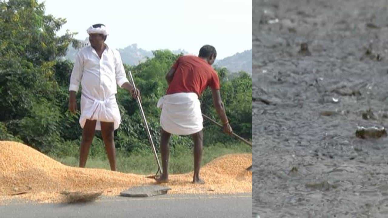 ಕೊಪ್ಪಳದಲ್ಲಿ ಹಿಂಗಾರು ಮಳೆ ಆರ್ಭಟ: ಕೈಗೆ ಬಂದ ತುತ್ತು ಬಾಯಿಗೆ ಬಾರದಂತಹ ಸ್ಥಿತಿಯಲ್ಲಿ ರೈತರು ಕೊಪ್ಪಳದಲ್ಲಿ ಹಿಂಗಾರು ಮಳೆ ಆರ್ಭಟ: ಕೈಗೆ ಬಂದ ತುತ್ತು ಬಾಯಿಗೆ ಬಾರದಂತಹ ಸ್ಥಿತಿಯಲ್ಲಿ ರೈತರು