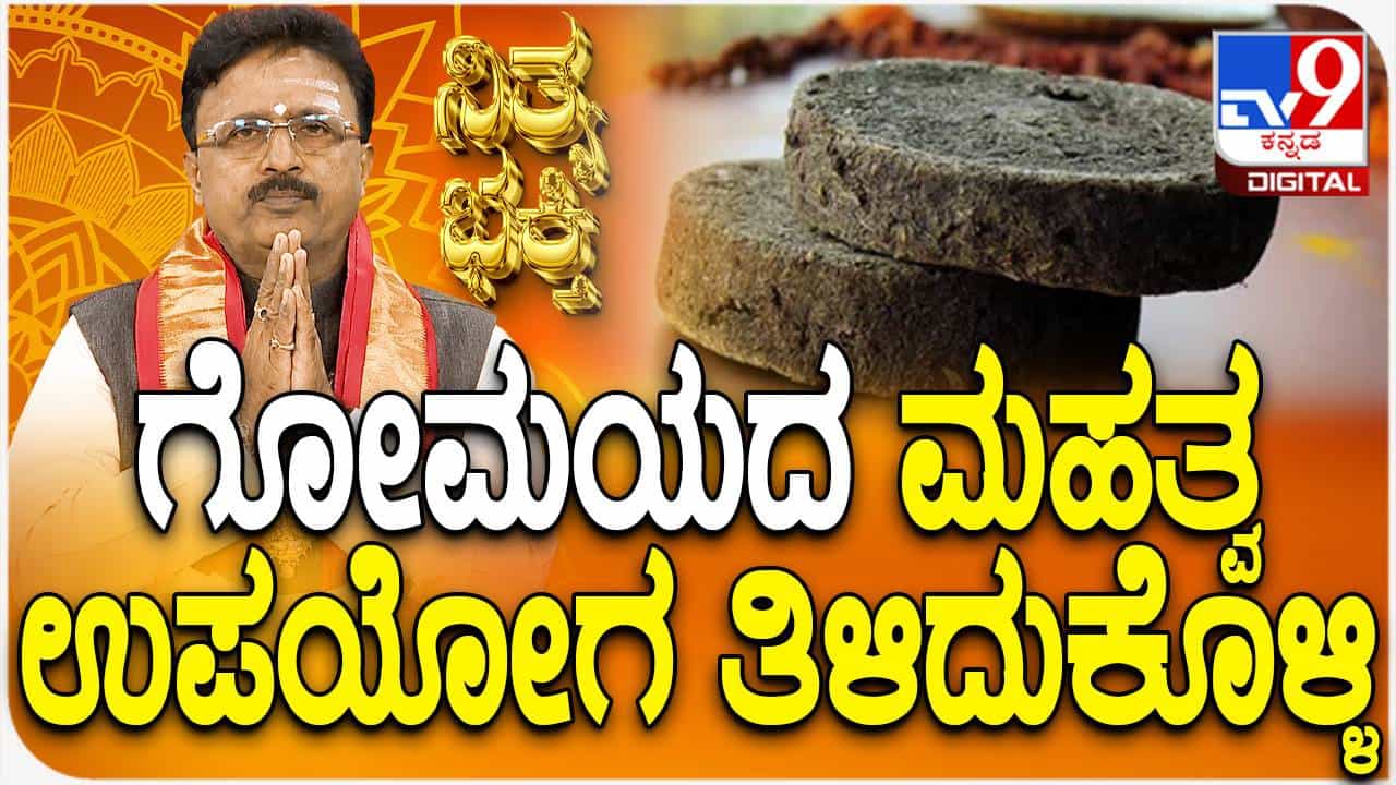 Daily Devotional: ಗೋಮಯದ ಮಹತ್ವ, ಉಪಯೋಗ ತಿಳಿದುಕೊಳ್ಳಿ Daily Devotional: ಗೋಮಯದ ಮಹತ್ವ, ಉಪಯೋಗ ತಿಳಿದುಕೊಳ್ಳಿ