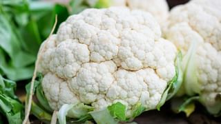 Health Tips : ನೆಗಡಿ ಕಡಿಮೆಯಾಗಬೇಕಂದ್ರೆ ಈ ಆಹಾರವನ್ನು ಮಿಸ್ ಮಾಡ್ಲೆ ಬೇಡಿ