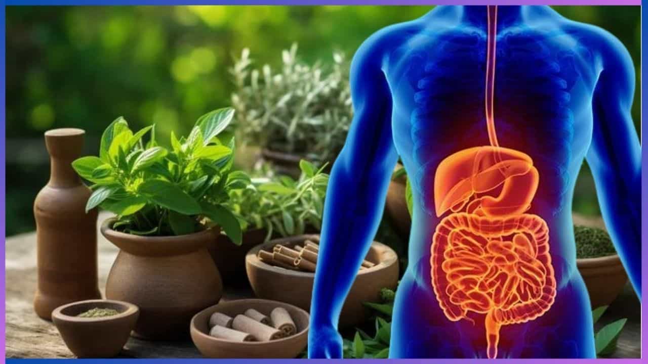 Health Tips: ಅಜೀರ್ಣ ಸಮಸ್ಯೆಗಳಿಗೆ ನಿಜವಾದ ಕಾರಣವೇನು? ಯಾವ ರೀತಿ ತಡೆಗಟ್ಟಬಹುದು Health Tips: ಅಜೀರ್ಣ ಸಮಸ್ಯೆಗಳಿಗೆ ನಿಜವಾದ ಕಾರಣವೇನು? ಯಾವ ರೀತಿ ತಡೆಗಟ್ಟಬಹುದು