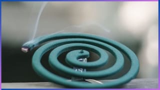 ಹೂಕೋಸು ತಿನ್ನುವುದರಿಂದ ಆಗುವ  ಪ್ರಯೋಜನಗಳಿವು