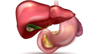 Heart healthy diet: ಈ ಆಹಾರಗಳು ನಿಮ್ಮ ಆರೋಗ್ಯಕ್ಕೆ ಸಂಜೀವಿನಿ