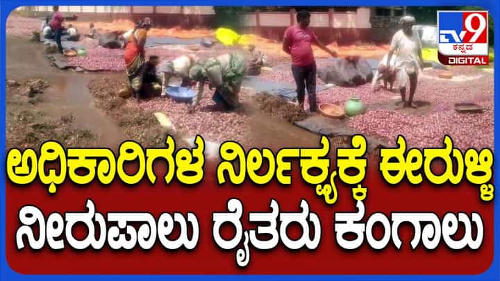 ಅಧಿಕಾರಿಗಳ ನಿರ್ಲಕ್ಷ್ಯ; ಈರುಳ್ಳಿ ನೀರುಪಾಲು, ರೈತರು ಕಂಗಾಲು ಅಧಿಕಾರಿಗಳ ನಿರ್ಲಕ್ಷ್ಯ; ಈರುಳ್ಳಿ ನೀರುಪಾಲು, ರೈತರು ಕಂಗಾಲು