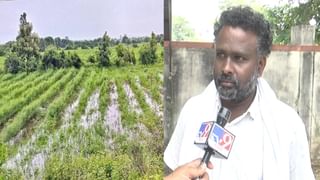 Karnataka Rains: ಕೊಡಗು, ಚಿಕ್ಕಮಗಳೂರು ಸೇರಿ ಕರ್ನಾಟಕದ 12 ಜಿಲ್ಲೆಗಳಲ್ಲಿ ಮುಂದಿನ 3 ದಿನ ಮಳೆ