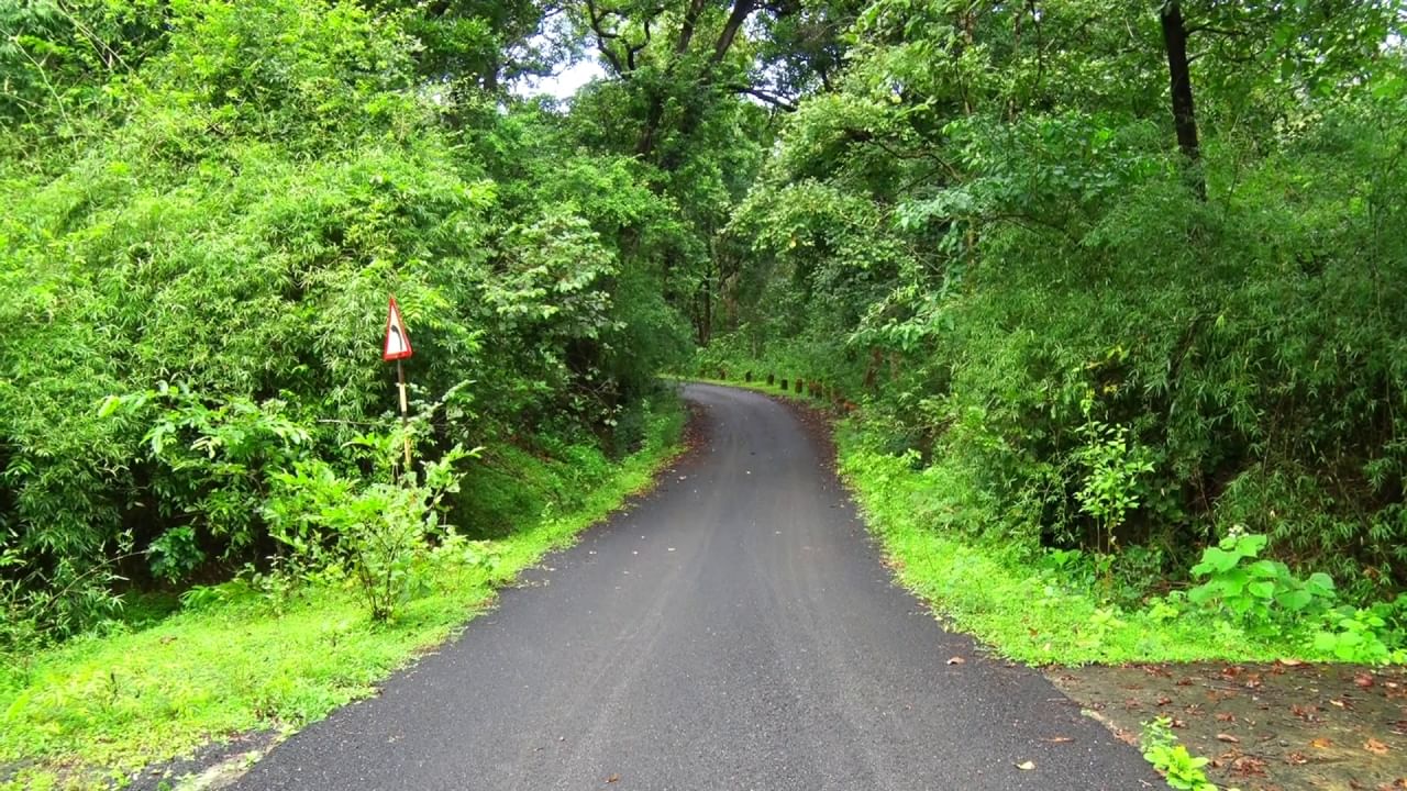 Uttara Kannada's Joida, 10 villages not having bus service, Children going to school fearing for their lives in the dense forest