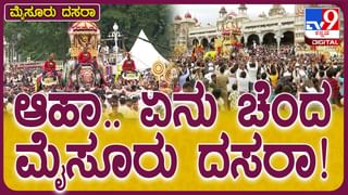 Mysuru Dasara Mahotsav-2024: ಅಂಬಾರಿಯೊಳಗೆ ಚಾಮುಂಡಿಯನ್ನು ಹೊತ್ತ ಅಭಿಮನ್ಯುನ ನಡಿಗೆ ವರ್ಣಿಸಲದಳ!