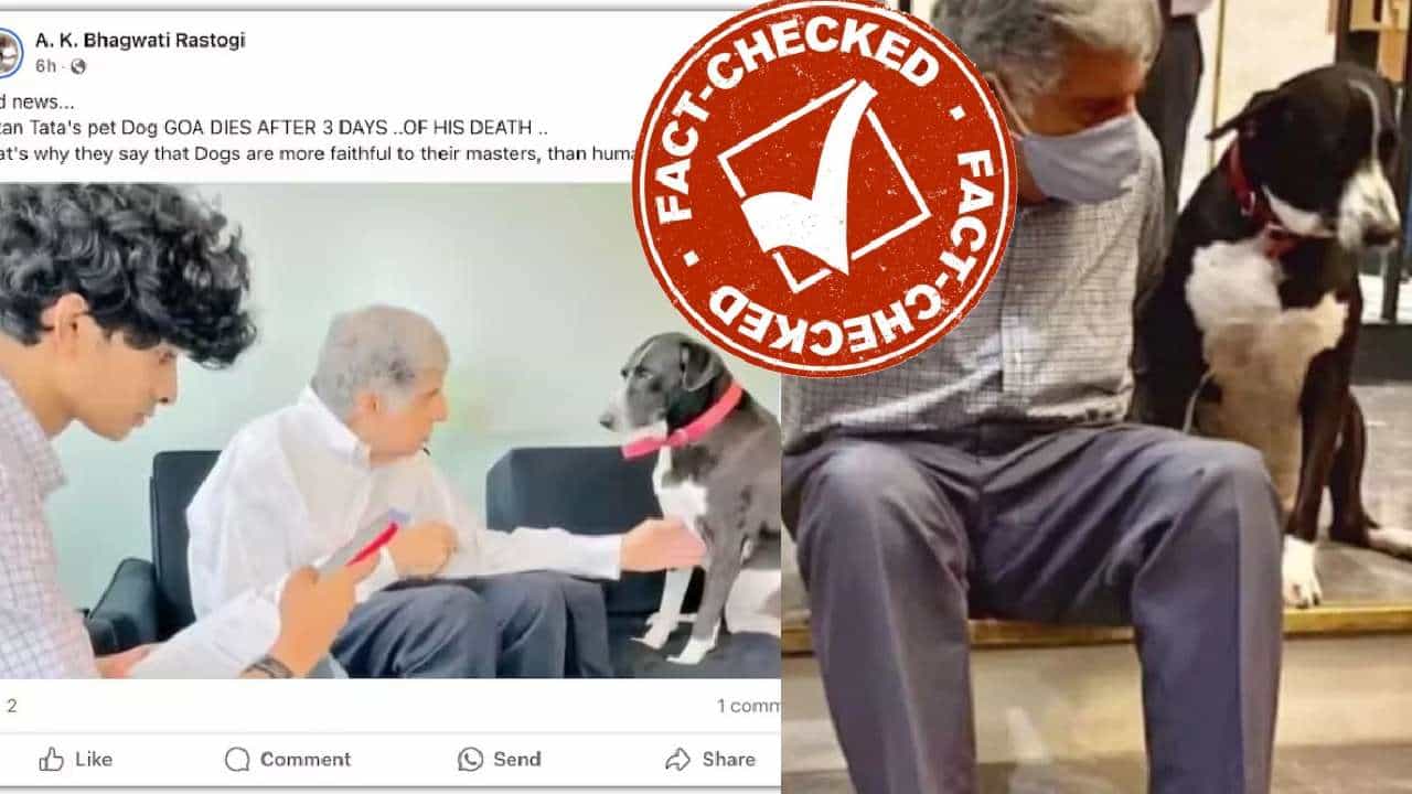 Fact Check: ರತನ್ ಟಾಟಾ ಅವರ ನಾಯಿ ಗೋವಾ ಇನ್ನಿಲ್ಲ ಎಂಬ ಸುದ್ದಿ ನಿಜವೇ? Fact Check: ರತನ್ ಟಾಟಾ ಅವರ ನಾಯಿ ಗೋವಾ ಇನ್ನಿಲ್ಲ ಎಂಬ ಸುದ್ದಿ ನಿಜವೇ?