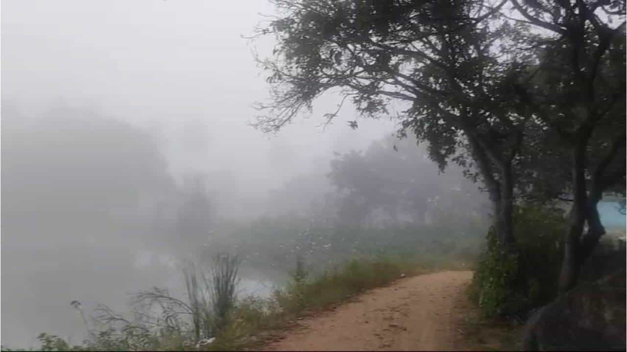 ಮಡಿಕೇರಿಯಂತಾದ ಕೋಲಾರ; ಒಣಗುತ್ತಿರುವ ಬೆಳೆಗೆ ಮಂಜಿನಾಸರೆ, ವಿಡಿಯೋ ನೋಡಿ ಮಡಿಕೇರಿಯಂತಾದ ಕೋಲಾರ; ಒಣಗುತ್ತಿರುವ ಬೆಳೆಗೆ ಮಂಜಿನಾಸರೆ, ವಿಡಿಯೋ ನೋಡಿ