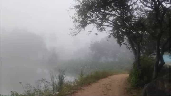 ಮಡಿಕೇರಿಯಂತಾದ ಕೋಲಾರ; ಒಣಗುತ್ತಿರುವ ಬೆಳೆಗೆ ಮಂಜಿನಾಸರೆ, ವಿಡಿಯೋ ನೋಡಿ ಮಡಿಕೇರಿಯಂತಾದ ಕೋಲಾರ; ಒಣಗುತ್ತಿರುವ ಬೆಳೆಗೆ ಮಂಜಿನಾಸರೆ, ವಿಡಿಯೋ ನೋಡಿ