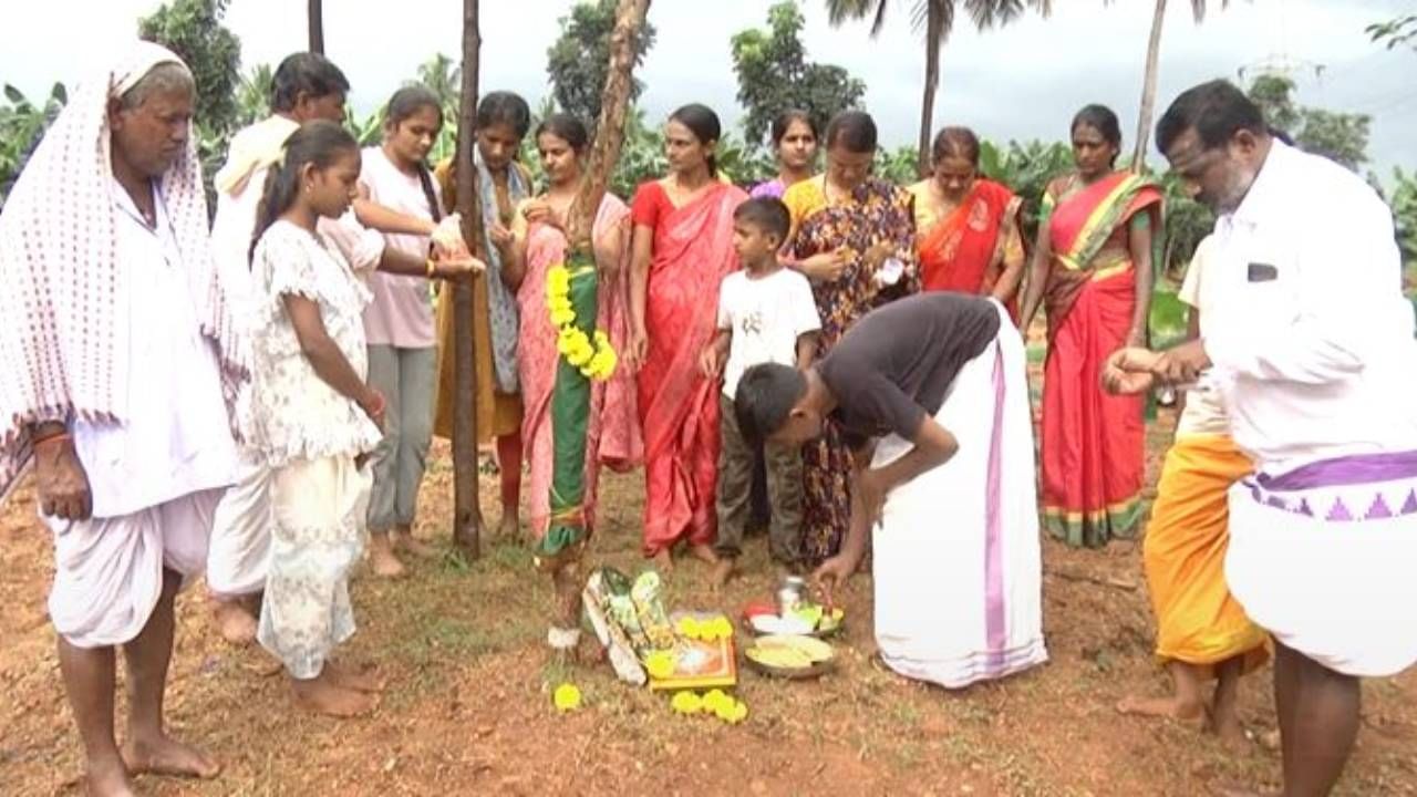 ಭೂಮಿ ತಾಯಿಗೂ ಮತ್ತು ಅನ್ನ ಬೆಳೆಯುವ ರೈತನಿಗೆ ತಾಯಿ-ಮಗನ ಸಂಬಂಧವಿದೆ. ಜೀವಕ್ಕೆ ಆಧಾರವಾಗಿರುವ ಭೂತಾಯಿಗೆ ನಮಿಸುವ ಉದ್ದೇಶದಿಂದಲೇ ರೈತರು ಅನೇಕ ಹಬ್ಬಗಳನ್ನು ಆಚರಿಸುತ್ತಾರೆ. ಅದರಲ್ಲಿ ಉತ್ತರ ಕರ್ನಾಟಕ ಭಾಗದಲ್ಲಿ ಆಚರಿಸುವ ಸೀಗೆ ಹುಣ್ಣಿಮೆ ಪ್ರಮುಖ ಹಬ್ಬವಾಗಿದೆ.
