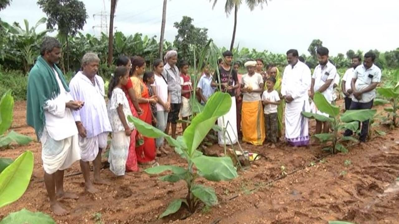 ಹೌದು ಕೊಪ್ಪಳ ಸೇರಿದಂತೆ ಉತ್ತರ ಕರ್ನಾಟಕ ಭಾಗದ ಜಿಲ್ಲೆಗಳಲ್ಲಿ ಇಂದು ಸೀಗೆ ಹುಣ್ಣಿಮೆ ಸಂಭ್ರಮದಿಂದ ಆಚರಿಸಲಾಯಿತು. ಕಳೆದ ಕೆಲ ದಿನಗಳಿಂದ ನಿರಂತರವಾಗಿ ಸುರಿಯುತ್ತಿರುವ ಮಳೆಯಿಂದ ಅನೇಕ ರೈತರು ಬೆಳೆ ಕಳೆದುಕೊಂಡು ಕಂಗಾಲಾಗಿದ್ದಾರೆ. ಆದರೂ ಕೂಡ ಭೂಮಿತಾಯಿಗೆ ನಮಿಸುವ ಕೆಲಸವನ್ನು ಬಿಡದೇ, ಭಕ್ತಿಯಿಂದ ಸೀಗೆ ಹುಣ್ಣಿಮೆಯನ್ನು ಆಚರಿಸಿದ್ದಾರೆ.
