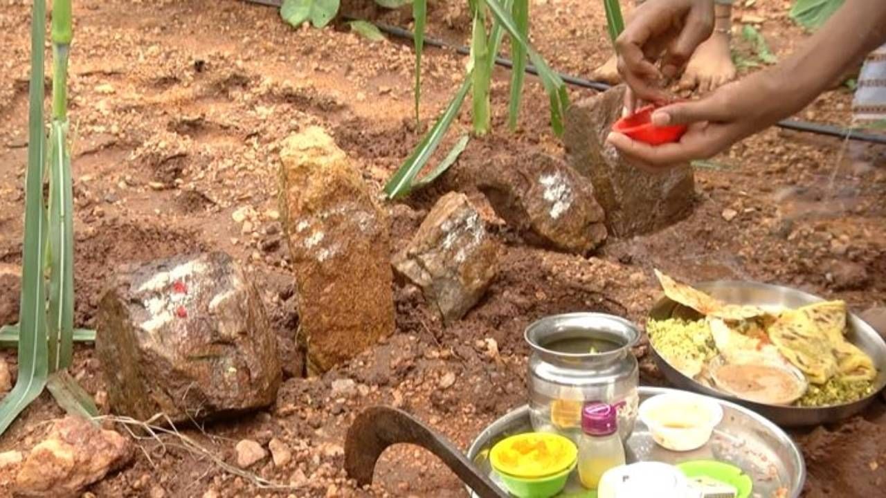 ಸೀಗೆ ಹುಣ್ಣಿಮೆಯ ದಿನ ರೈತರು, ತಮ್ಮ ಜಮೀನಿಗೆ ಹೋಗಿ, ಬನ್ನಿ ಗಿಡದ ಬಳಿ ಐದು ಕಲ್ಲುಗಳನ್ನು ಇಟ್ಟು, ಅವು ಪಾಂಡವರು ಅಂತ ಹೇಳಿ, ಪೂಜೆ ಮಾಡುತ್ತಾರೆ. ನಂತರ ಊಟಕ್ಕಾಗಿ ಮಾಡಿದ್ದ ಆಹಾರ ಪದಾರ್ಥಗಳನ್ನು ನೈವದ್ಯ ಮಾಡಿ, ಚರಗ ಅಂತ ಹೇಳಿ ಹೊಲದ ತುಂಬೆಲ್ಲಾ ಚೆಲ್ಲುತ್ತಾರೆ. ಭೂತಾಯಿ, ನಮ್ಮ ಮೇಲೆ ನಿಮ್ಮ ಕೃಪೆಯಿರಲಿ ಅಂತ ಭಕ್ತಿಯಿಂದ ಭೂಮಿ ತಾಯಿಗೆ ನಮಿಸುತ್ತಾರೆ.
