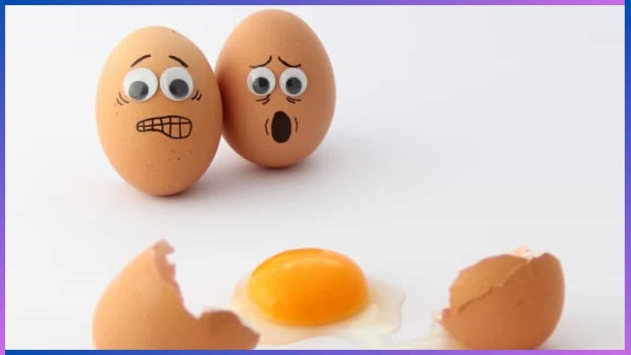 World Egg Day 2024: ಇಂದು ವಿಶ್ವ ಮೊಟ್ಟೆ ದಿನ; ಇದನ್ನು ಸೇವಿಸುವುದರಿಂದ ದೇಹಕ್ಕೆ ಸಿಗುವ ಪ್ರಯೋಜನಗಳೇನು? World Egg Day 2024: ಇಂದು ವಿಶ್ವ ಮೊಟ್ಟೆ ದಿನ; ಇದನ್ನು ಸೇವಿಸುವುದರಿಂದ ದೇಹಕ್ಕೆ ಸಿಗುವ ಪ್ರಯೋಜನಗಳೇನು?