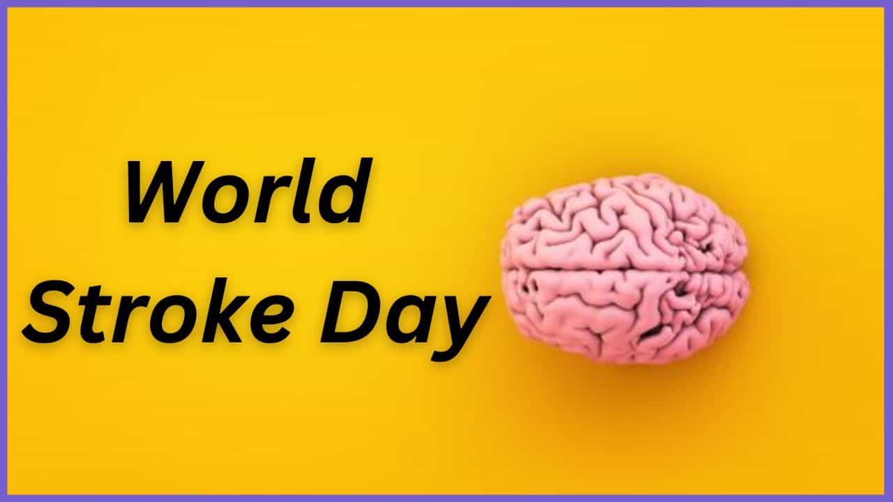 World Stroke Day 2024: ಮೆದುಳಿನ ಆರೋಗ್ಯ ಕಾಪಾಡಿಕೊಂಡು ಪಾರ್ಶ್ವವಾಯು ತಡೆಗಟ್ಟಲು ಈ ಸಲಹೆಗಳನ್ನು ಅನುಸರಿಸಿ World Stroke Day 2024: ಮೆದುಳಿನ ಆರೋಗ್ಯ ಕಾಪಾಡಿಕೊಂಡು ಪಾರ್ಶ್ವವಾಯು ತಡೆಗಟ್ಟಲು ಈ ಸಲಹೆಗಳನ್ನು ಅನುಸರಿಸಿ