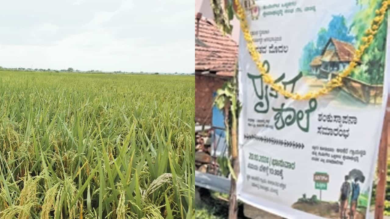ಮಂಡ್ಯದಲ್ಲೊಂದು ವಿನೂತನ ಯತ್ನ: ರೈತರಿಂದ ರೈತರಿಗಾಗಿ ರೈತ ಶಾಲೆ, ಇದು ಕರ್ನಾಟಕದಲ್ಲೇ ಮೊದಲು! ಮಂಡ್ಯದಲ್ಲೊಂದು ವಿನೂತನ ಯತ್ನ: ರೈತರಿಂದ ರೈತರಿಗಾಗಿ ರೈತ ಶಾಲೆ, ಇದು ಕರ್ನಾಟಕದಲ್ಲೇ ಮೊದಲು!