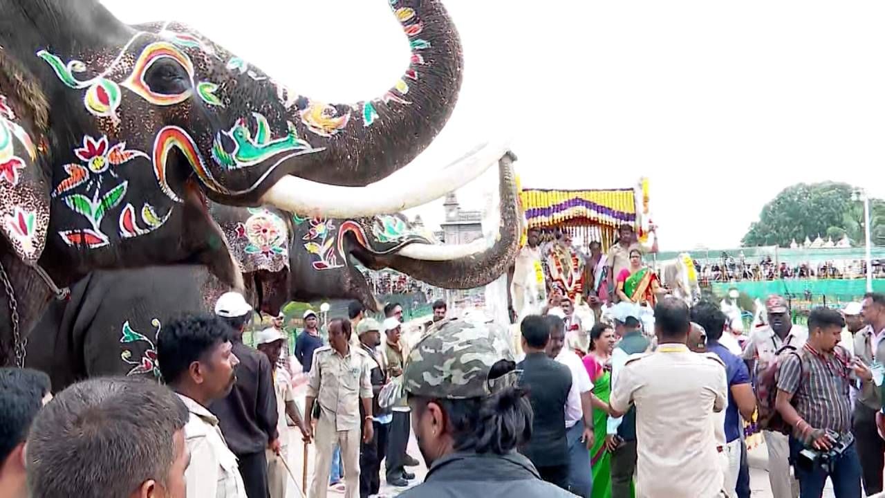 Mysore Dasara 2024: Dasara Elephants ready for Jambu Savari 