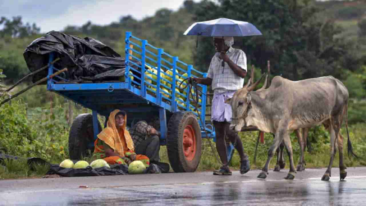 Karnataka Rains: ಬೆಂಗಳೂರಿನಲ್ಲಿ ಅ.20ರವರೆಗೆ ಸುರಿಯಲಿದೆ ಭಾರಿ ಮಳೆ, ಆರೆಂಜ್​ ಅಲರ್ಟ್​