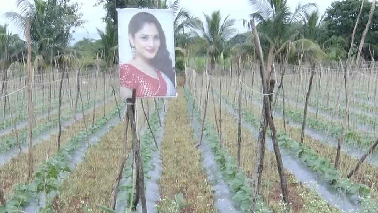 ತಮ್ಮ ಬೆಳೆಗೆ ಏನೂ ಆಗದಿರಲಿ ಎಂದು ಹಳ್ಳಿಯ ರೈತರು ಬೆದರುಗೊಂಬೆ, ದೃಷ್ಟಿ ಗೊಂಬೆಗಳನ್ನು ತಮ್ಮ ಜಮೀನಿನಲ್ಲಿ ಇಟ್ಟಿರುವುದನ್ನು ನಾವು ಕಾಣುತ್ತೇವೆ. ಆದರೆ ರಾಮನಗರಲ್ಲಿ ಈ ರೈತ ತನ್ನ ಬೆಳೆಯ ರಕ್ಷಣೆಗಾಗಿ ನಟಿಯರ ಫ್ಲೆಕ್ಸ್ ಗಳನ್ನು ಹೊಲಸದ ಸುತ್ತಲೂ ಹಾಕಿದ್ದಾರೆ. ಸದ್ಯ ರೈತನ ಈ ಐಡಿಯಾ ಸಾಮಾಜಿಕ ತಾಣಗಳಲ್ಲಿ ಭಾರೀ ಸದ್ದು ಮಾಡುತ್ತಿದೆ