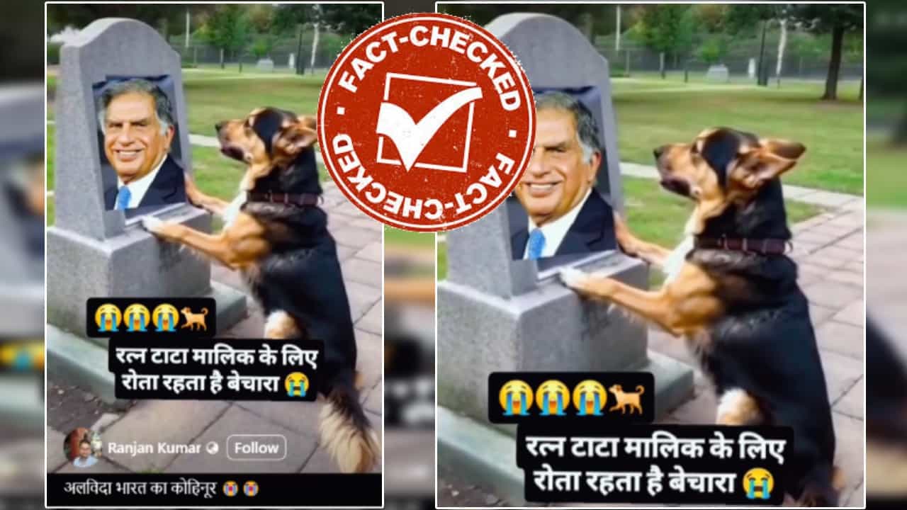 Fact Check: ರತನ್ ಟಾಟಾ ಸಮಾಧಿ ಬಳಿ ಕಣ್ಣೀರು ಸುರಿಸುತ್ತಿರುವ ನಾಯಿ: ವೈರಲ್ ವಿಡಿಯೋದ ನಿಜಾಂಶ ಏನು? Fact Check: ರತನ್ ಟಾಟಾ ಸಮಾಧಿ ಬಳಿ ಕಣ್ಣೀರು ಸುರಿಸುತ್ತಿರುವ ನಾಯಿ: ವೈರಲ್ ವಿಡಿಯೋದ ನಿಜಾಂಶ ಏನು?