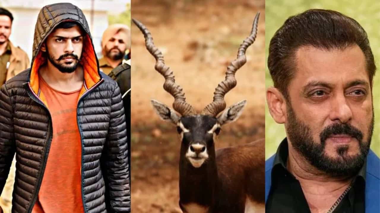 ಕೃಷ್ಣಮೃಗ ಬೇಟೆ ಪ್ರಕರಣದಲ್ಲಿ ಸಲ್ಮಾನ್ ಖಾನ್ ಹೇಳೋದೇನು? ಕೃಷ್ಣಮೃಗ ಬೇಟೆ ಪ್ರಕರಣದಲ್ಲಿ ಸಲ್ಮಾನ್ ಖಾನ್ ಹೇಳೋದೇನು?