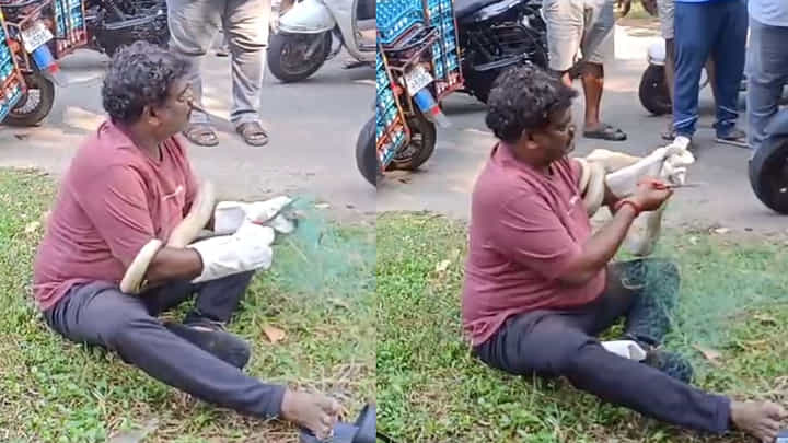 ಮನೆಯ ಬಲೆಯೊಳಗೆ ಸಿಕ್ಕಿಬಿದ್ದ 7 ಅಡಿ ಉದ್ದದ ಹಾವು! ಮನೆಯ ಬಲೆಯೊಳಗೆ ಸಿಕ್ಕಿಬಿದ್ದ 7 ಅಡಿ ಉದ್ದದ ಹಾವು!