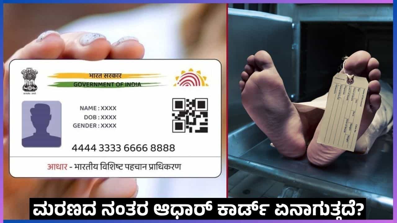 Tech Tips: ಮರಣದ ನಂತರ ಆಧಾರ್ ಕಾರ್ಡ್ ಏನಾಗುತ್ತದೆ?: ಈ ವಿಚಾರ ನಿಮಗೆ ತಿಳಿದಿರಲೇಬೇಕು Tech Tips: ಮರಣದ ನಂತರ ಆಧಾರ್ ಕಾರ್ಡ್ ಏನಾಗುತ್ತದೆ?: ಈ ವಿಚಾರ ನಿಮಗೆ ತಿಳಿದಿರಲೇಬೇಕು