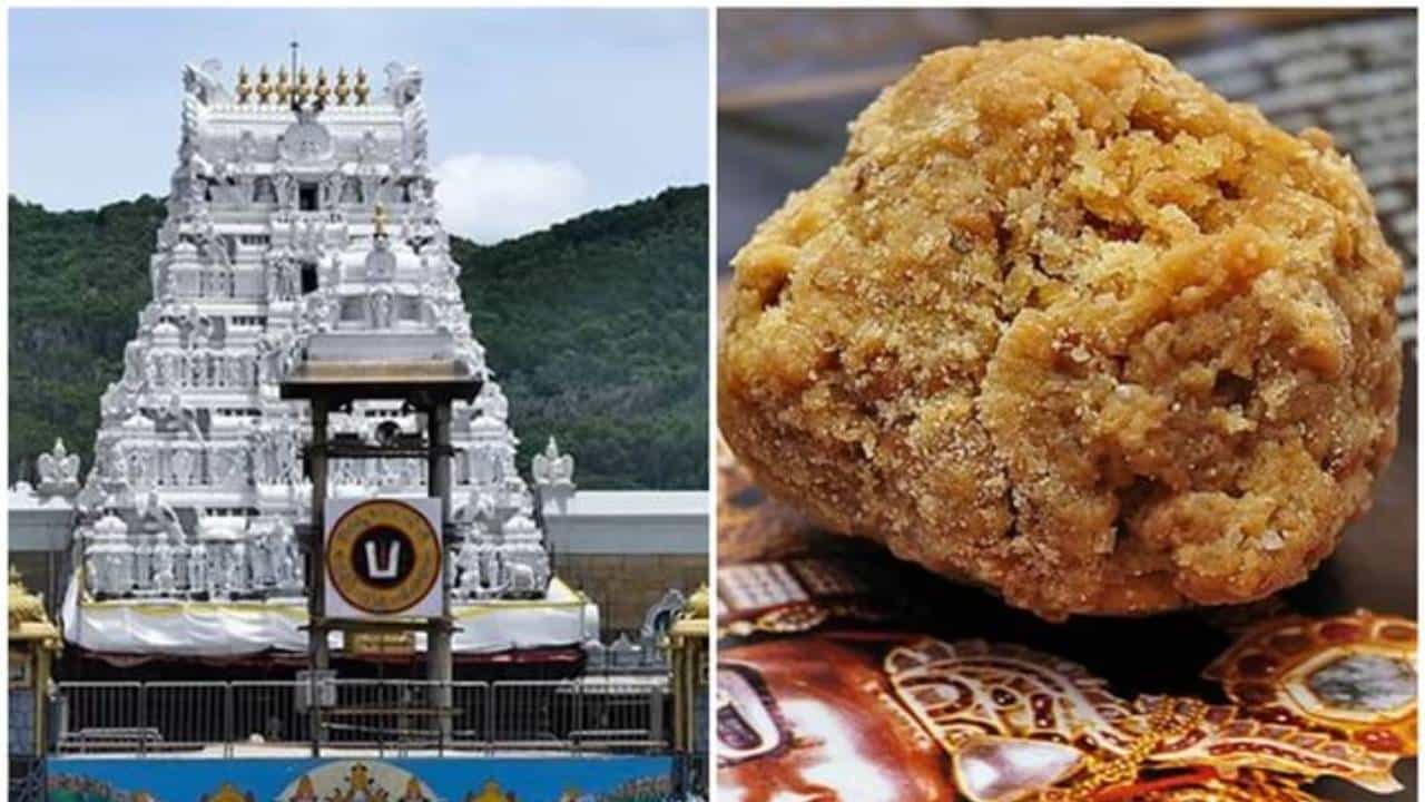 ಬೆಂಗಳೂರಿಗೆ ಪೂರೈಕೆಯಾಗುತ್ತಿದ್ದ ತಿರುಪತಿ ಲಡ್ಡು ಸ್ಥಗಿತ! ಬೆಂಗಳೂರಿಗೆ ಪೂರೈಕೆಯಾಗುತ್ತಿದ್ದ ತಿರುಪತಿ ಲಡ್ಡು ಸ್ಥಗಿತ!