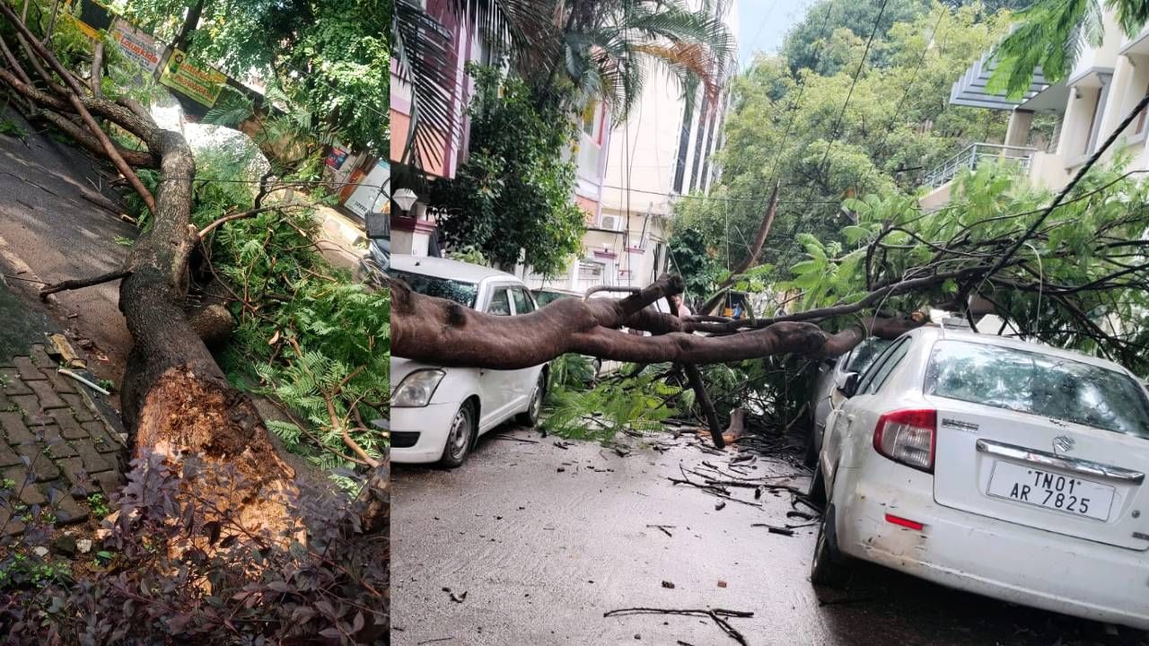 ಮಳೆ ಅವಾಂತರಕ್ಕೆ ಸಿಟಿ ಜನ ಹೈರಾಣಾಗಿದ್ದಾರೆ. ನಿನ್ನೆ ರಾತ್ರಿ ಸುರಿದ ಮಳೆಗೆ ಮರ ಧರೆಗುರುಳಿದ್ದು, ಕಾರುಗಳ ಮೇಲೆ ಮರ ಬಿದ್ದು ಕಾರು ಜಖಂಗೊಂಡಿದೆ. 
