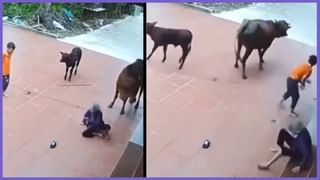 Viral: ನಮ್​​​ ಬಾಸ್‌ ಬಂದಾಯ್ತು ಕಣ್ರೋ; ಹಬ್ಬ ಮಾಡೋಕೆ ರೆಡಿ ಆಗ್ರೋ… ದರ್ಶನ್ ಮೀಮ್ಸ್‌ ವೈರಲ್