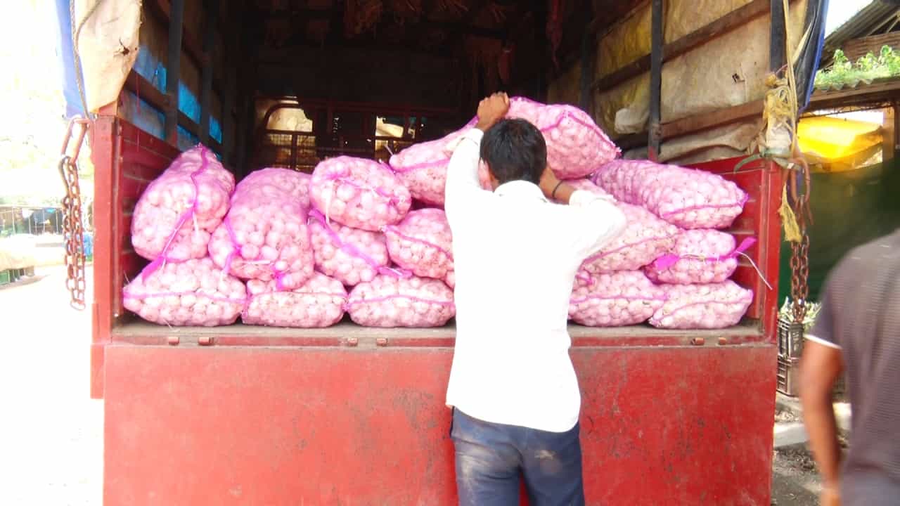 ಚೀನಾ ಬೆಳ್ಳುಳ್ಳಿ: ಶಿವಮೊಗ್ಗ ಆಯ್ತು, ಈಗ ಉಡುಪಿಯಲ್ಲೂ ಹಾವಳಿ, ಎಪಿಎಂಸಿ ಮಾರುಕಟ್ಟೆಯಲ್ಲಿ 5 ಕ್ವಿಂಟಲ್ ಚೀನಾ ಬೆಳ್ಳುಳ್ಳಿ ವಶಕ್ಕೆ ಚೀನಾ ಬೆಳ್ಳುಳ್ಳಿ: ಶಿವಮೊಗ್ಗ ಆಯ್ತು, ಈಗ ಉಡುಪಿಯಲ್ಲೂ ಹಾವಳಿ, ಎಪಿಎಂಸಿ ಮಾರುಕಟ್ಟೆಯಲ್ಲಿ 5 ಕ್ವಿಂಟಲ್ ಚೀನಾ ಬೆಳ್ಳುಳ್ಳಿ ವಶಕ್ಕೆ