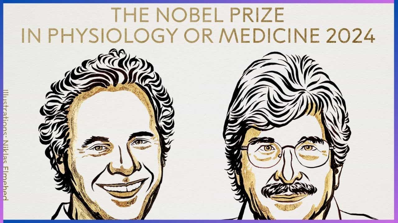 Nobel Prize 2024: ಮೈಕ್ರೊಆರ್ಎನ್ಎ ಆವಿಷ್ಕಾರಕ್ಕಾಗಿ ವಿಕ್ಟರ್ ಆಂಬ್ರೋಸ್ ಮತ್ತು ಗ್ಯಾರಿ ರುವ್ಕುನ್ಗೆ ವೈದ್ಯಕೀಯದಲ್ಲಿ ನೊಬೆಲ್ ಪ್ರಶಸ್ತಿ Nobel Prize 2024: ಮೈಕ್ರೊಆರ್ಎನ್ಎ ಆವಿಷ್ಕಾರಕ್ಕಾಗಿ ವಿಕ್ಟರ್ ಆಂಬ್ರೋಸ್ ಮತ್ತು ಗ್ಯಾರಿ ರುವ್ಕುನ್ಗೆ ವೈದ್ಯಕೀಯದಲ್ಲಿ ನೊಬೆಲ್ ಪ್ರಶಸ್ತಿ