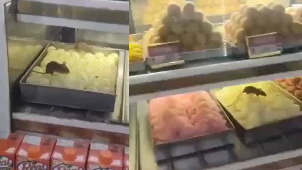 Viral Video: ಬೇಕರಿಯ ಸ್ವೀಟ್ ಮೇಲೆ ಮಸ್ತಾಗಿ ಓಡಾಡುತ್ತಿರುವ ಇಲಿ, ಇಲ್ಲಿನ ಸಿಹಿ ತಿಂದ್ರೆ ನರಕ ಗ್ಯಾರಂಟಿ Viral Video: ಬೇಕರಿಯ ಸ್ವೀಟ್ ಮೇಲೆ ಮಸ್ತಾಗಿ ಓಡಾಡುತ್ತಿರುವ ಇಲಿ, ಇಲ್ಲಿನ ಸಿಹಿ ತಿಂದ್ರೆ ನರಕ ಗ್ಯಾರಂಟಿ