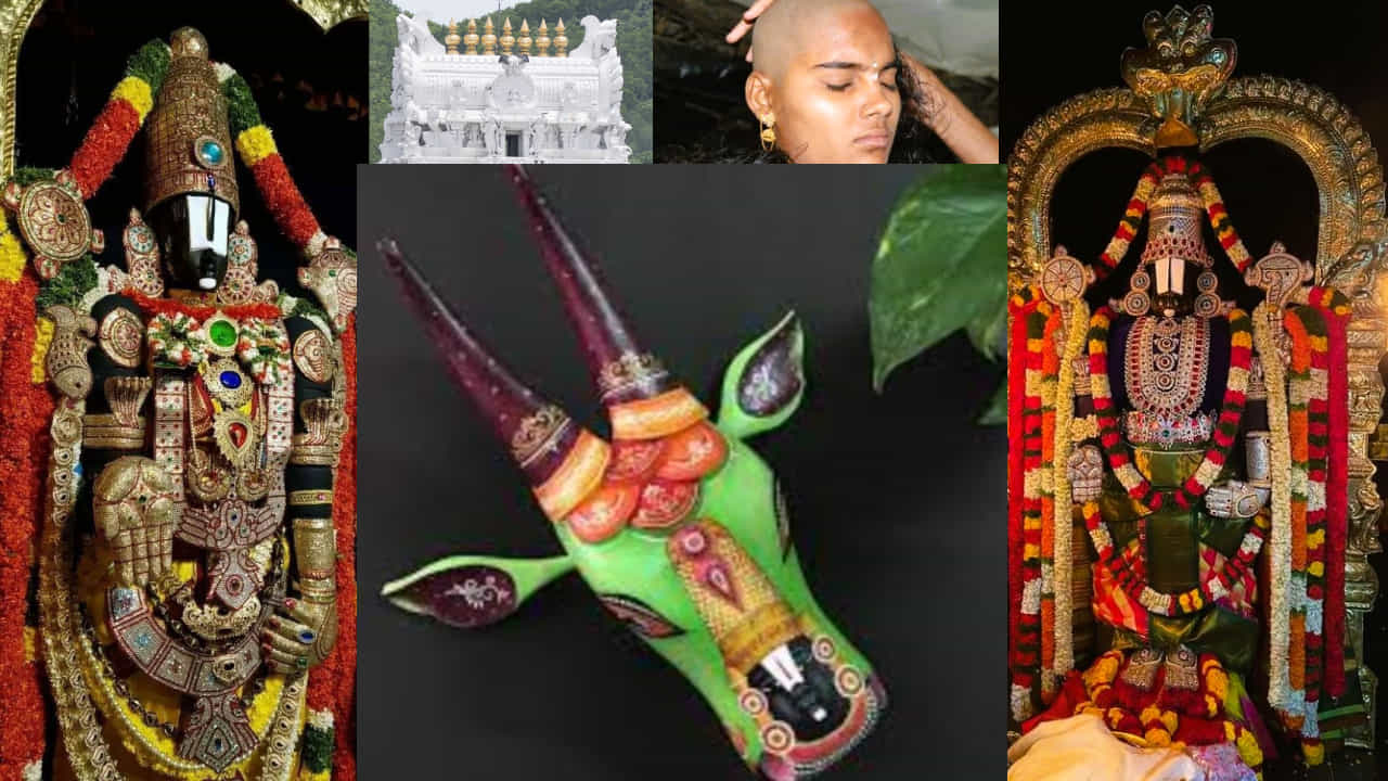 ತಿರುಪತಿ ತಿಮ್ಮಪ್ಪನಿಗೆ ಕಲಿಯುಗದ ಭಕ್ತರು ಮುಡಿ ಕೊಡುತ್ತಾರೆ, ಏಕೆ? ಪುರಾಣ ಐತಿಹ್ಯ ಏನು? ತಿರುಪತಿ ತಿಮ್ಮಪ್ಪನಿಗೆ ಕಲಿಯುಗದ ಭಕ್ತರು ಮುಡಿ ಕೊಡುತ್ತಾರೆ, ಏಕೆ? ಪುರಾಣ ಐತಿಹ್ಯ ಏನು?