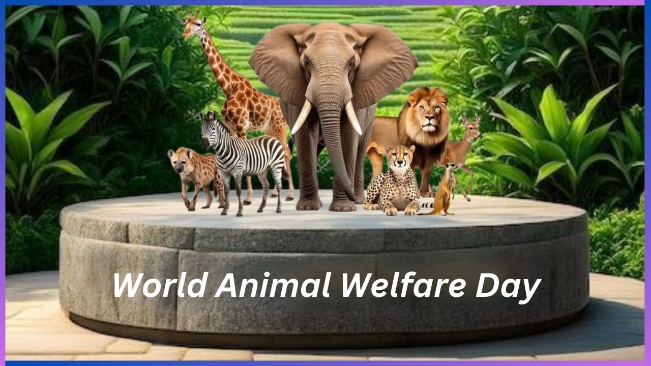 World Animal Welfare Day 2024 : ಸ್ವಾರ್ಥ ಬಿಟ್ಟು ಮೂಕ ಜೀವಿಗಳಿಗೂ ಬದುಕಲು ಅವಕಾಶ ಕೊಡಿ