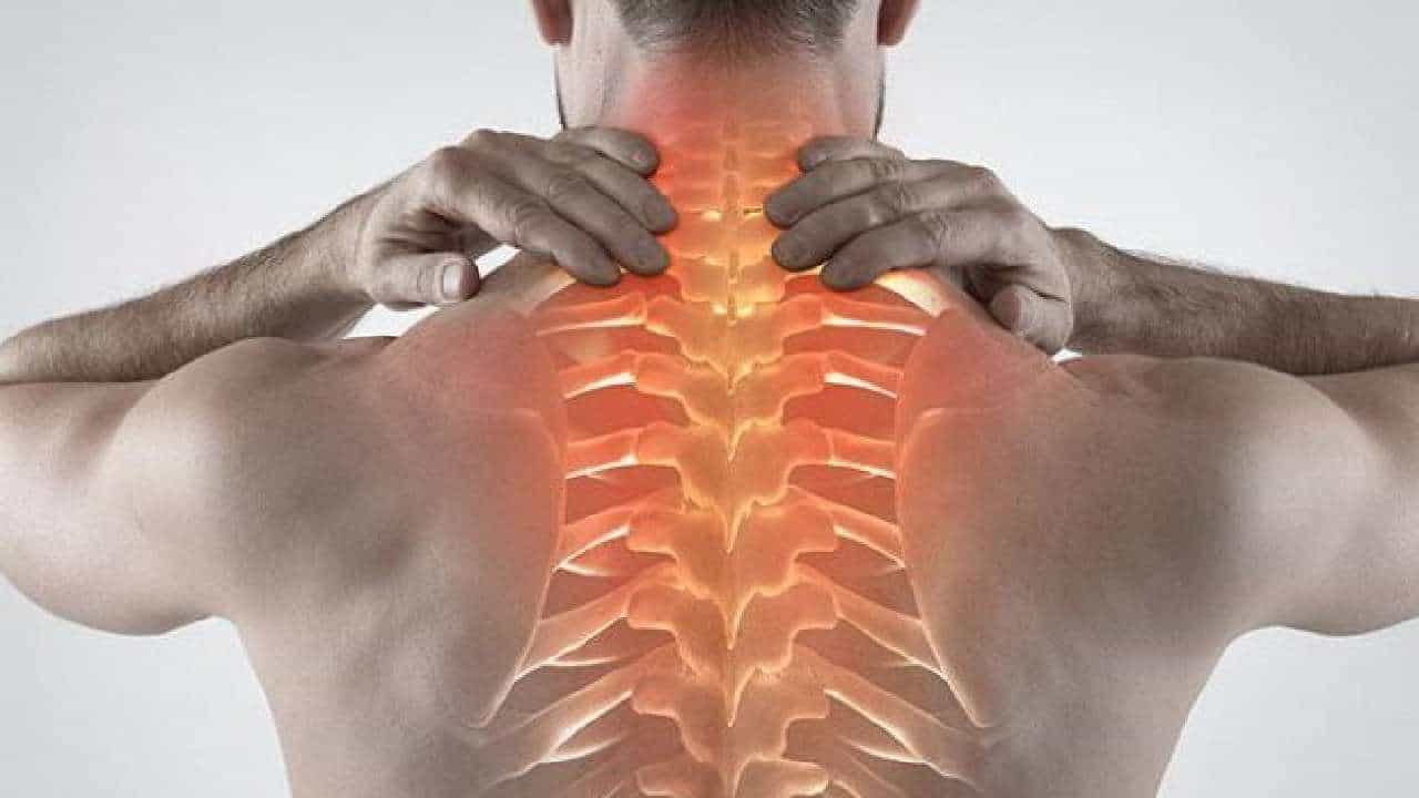 World Spine Day 2024: ಇಂದು ವಿಶ್ವ ಬೆನ್ನುಹುರಿ ದಿನ; ಬೆನ್ನುಮೂಳೆಯನ್ನು ಆರೋಗ್ಯಕರವಾಗಿಡಲು ಇಲ್ಲಿದೆ ಸಲಹೆಗಳು World Spine Day 2024: ಇಂದು ವಿಶ್ವ ಬೆನ್ನುಹುರಿ ದಿನ; ಬೆನ್ನುಮೂಳೆಯನ್ನು ಆರೋಗ್ಯಕರವಾಗಿಡಲು ಇಲ್ಲಿದೆ ಸಲಹೆಗಳು