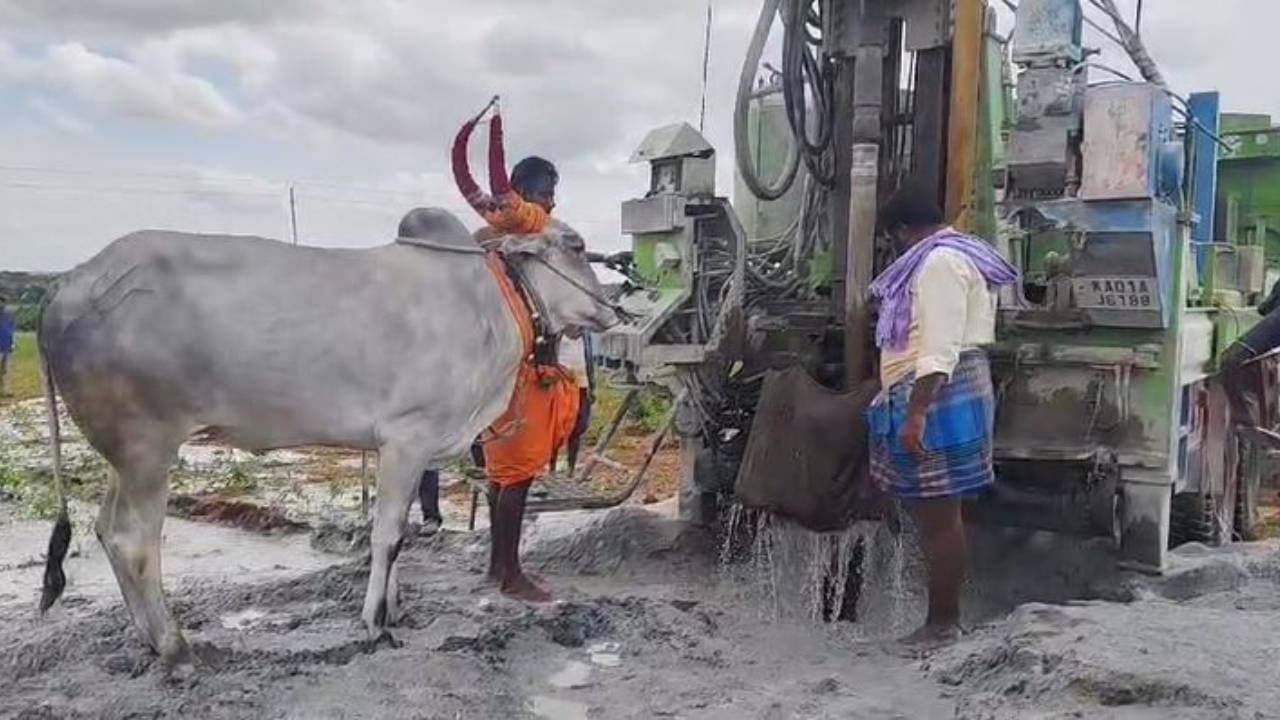 ಚಿಕ್ಕಮಗಳೂರು ಸೇರಿದಂತೆ ಹೊರ ರಾಜ್ಯದಲ್ಲೂ ಶರಣ್ಯ ಫೇಮಸ್ ಆಗಿದೆ. ಜಿಯೋಲಾಜಿಕಲ್ ವಿಜ್ಞಾನಿಗಳು‌ ಗುರುತು ಮಾಡಿದ ಸ್ಥಳದಲ್ಲಿ ‌ಬೋರ್ ಕೈ‌ಕೊಟ್ಟರೂ ಶರಣ್ಯ ಗುರುತಿಸಿದ ಸ್ಥಳದಲ್ಲಿ ಯಾವುದೇ ಕಾರಣಕ್ಕೂ ತಪ್ಪುವುದಿಲ್ಲ ಎನ್ನಲಾಗಿತ್ತಿದೆ. ಹಾಗಾಗಿ ಶರಣ್ಯ ತೋರಿಸುವ ಸ್ಥಳದಲ್ಲಿ ರೈತರು ಬೋರ್ ವೆಲ್ ಕೊರೆಸುತ್ತಿದ್ದಾರೆ.  
