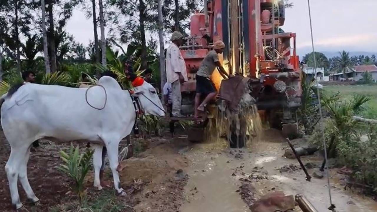 ಬಂಜರು ಭೂಮಿಯಲ್ಲಿ ಶರಣ್ಯ ಗುರುತು ಮಾಡಿದ ಜಾಗದಲ್ಲಿ ನೀರು ಸಿಕ್ಕಿದೆ. ಈ ಭೂಮಿಯಲ್ಲಿ ನೀರು ಬರಲ್ಲ ಎಂದ ಸ್ಥಳದಲ್ಲೇ ಶರಣ್ಯ ನೀರು ಹರಿಸಿದ್ದಾಳೆ. ಇದುವರೆಗೆ ಶರಣ್ಯ ಗುರುತಿಸಿದ‌ 600 ಬೋರ್ವೆಲ್​ಗಳು ಯಶಸ್ವಿಯಾಗಿವೆ. 
