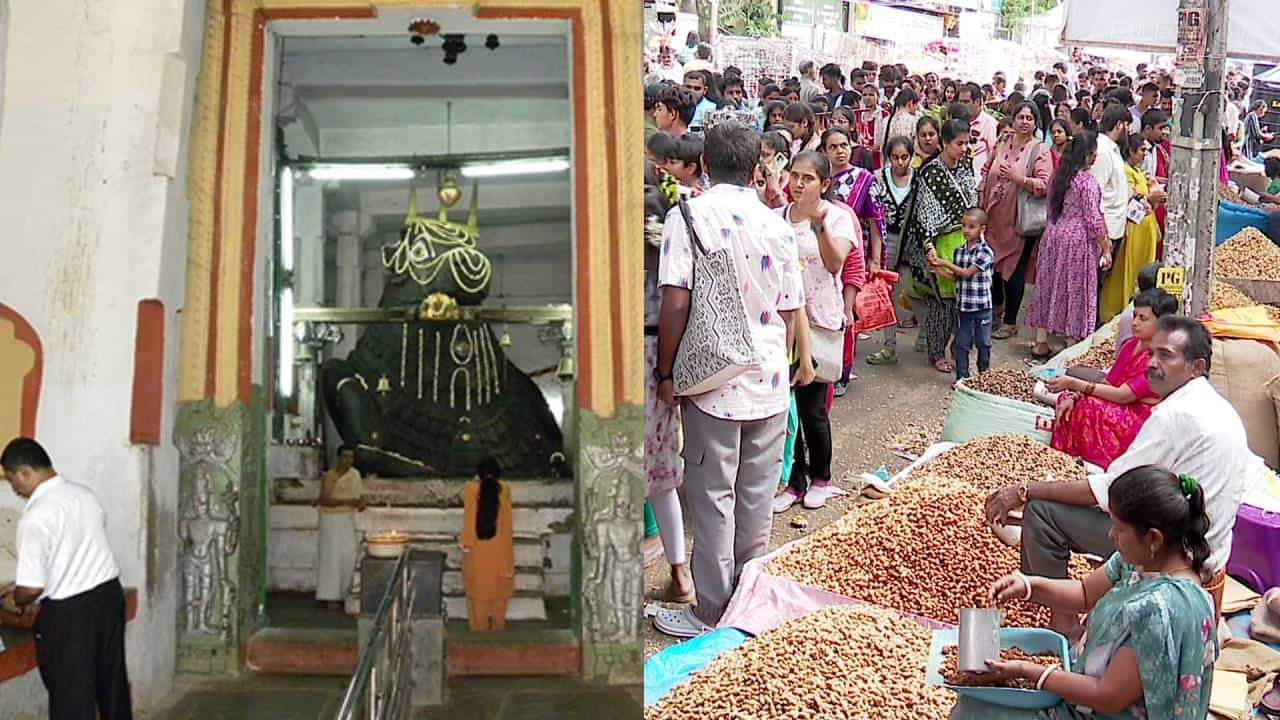 ಬೆಂಗಳೂರು ಬಸವನಗುಡಿ ಕಡಲೆಕಾಯಿ ಪರಿಷೆ ಇತಿಹಾಸ, ಕಾರ್ತಿಕ ಮಾಸದಲ್ಲೇ ನಡೆಯಲು ಕಾರಣವೇನು? ಇಲ್ಲಿದೆ ಮಾಹಿತಿ ಬೆಂಗಳೂರು ಬಸವನಗುಡಿ ಕಡಲೆಕಾಯಿ ಪರಿಷೆ ಇತಿಹಾಸ, ಕಾರ್ತಿಕ ಮಾಸದಲ್ಲೇ ನಡೆಯಲು ಕಾರಣವೇನು? ಇಲ್ಲಿದೆ ಮಾಹಿತಿ
