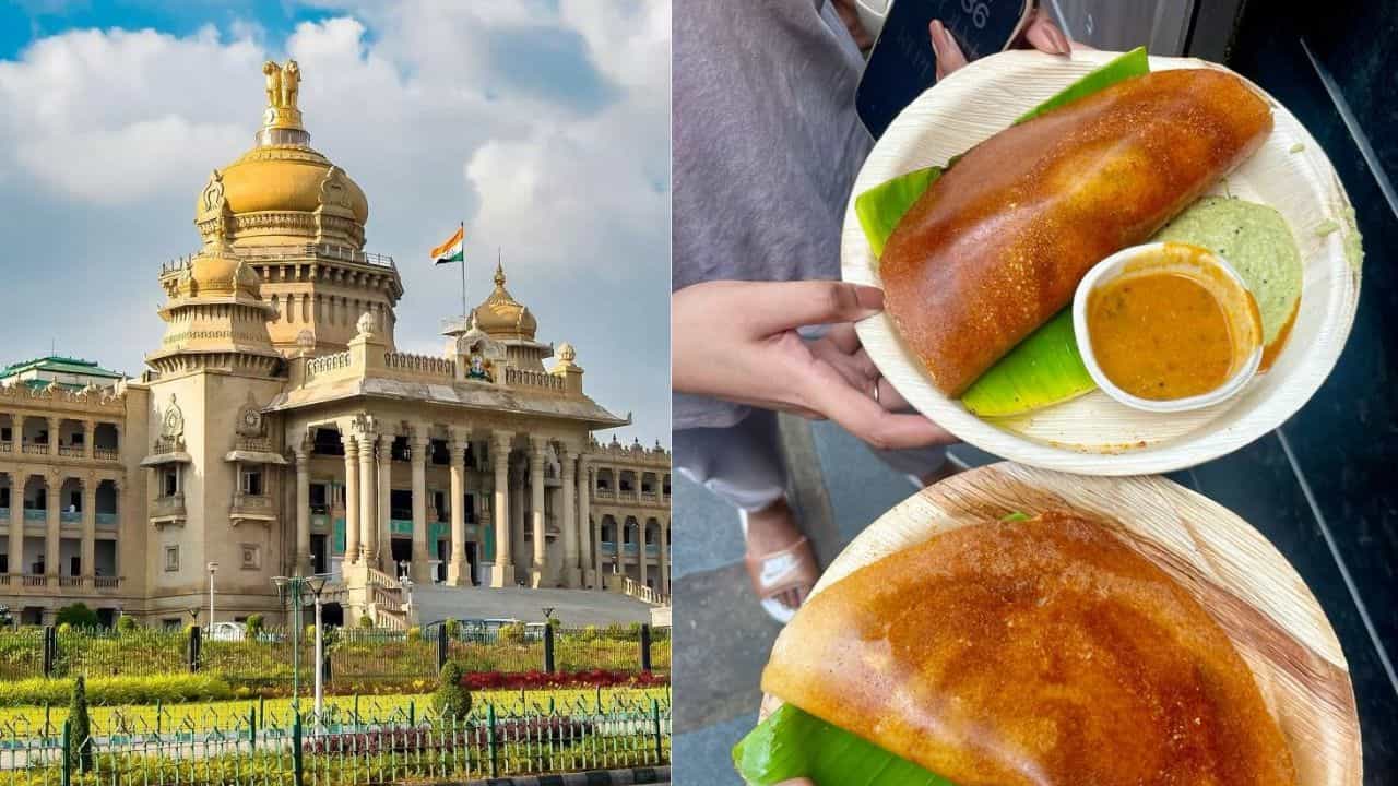 ಗರಿ ಗರಿ ದೋಸೆ ಸಿಗುವ ಬೆಂಗಳೂರಿನ ಟಾಪ್ 10 ಹೋಟೆಲ್ಗಳಿವು ಗರಿ ಗರಿ ದೋಸೆ ಸಿಗುವ ಬೆಂಗಳೂರಿನ ಟಾಪ್ 10 ಹೋಟೆಲ್ಗಳಿವು