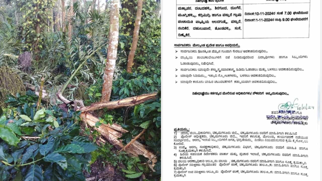 ಚಿಕ್ಕಮಗಳೂರು: ಕಾಡಾನೆ ಉಪಟಳ, ಹಲವು ಗ್ರಾಮಗಳಲ್ಲಿ ಶಾಲಾ, ಕಾಲೇಜುಗಳಿಗೆ ರಜೆ ಘೋಷಣೆ ಚಿಕ್ಕಮಗಳೂರು: ಕಾಡಾನೆ ಉಪಟಳ, ಹಲವು ಗ್ರಾಮಗಳಲ್ಲಿ ಶಾಲಾ, ಕಾಲೇಜುಗಳಿಗೆ ರಜೆ ಘೋಷಣೆ